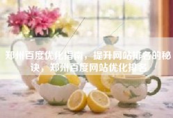 郑州百度优化指南，提升网站排名的秘诀，郑州百度网站优化排名