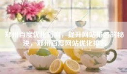 郑州百度优化指南，提升网站排名的秘诀，郑州百度网站优化排名