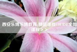 西安乐博乐博教育-精品课程COURSE全部课程＞＞