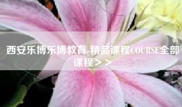 西安乐博乐博教育-精品课程COURSE全部课程＞＞