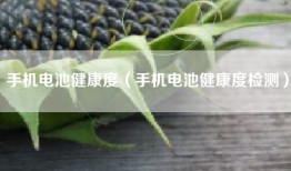 手机电池健康度（手机电池健康度检测）