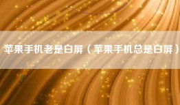 苹果手机老是白屏（苹果手机总是白屏）