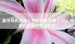 蓝牙耳机连接上手机还是外放（iphone蓝牙已连接但声音外放）