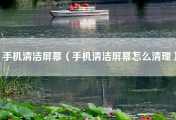 手机清洁屏幕（手机清洁屏幕怎么清理）