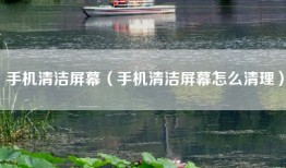 手机清洁屏幕（手机清洁屏幕怎么清理）