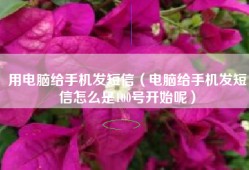 用电脑给手机发短信（电脑给手机发短信怎么是100号开始呢）