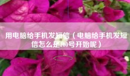 用电脑给手机发短信（电脑给手机发短信怎么是100号开始呢）