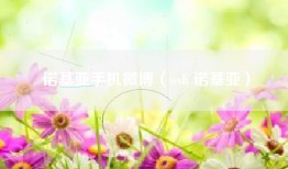 诺基亚手机微博（wsb 诺基亚）