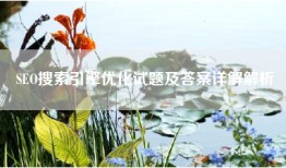 SEO搜索引擎优化试题及答案详解解析