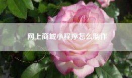 网上商城小程序怎么制作