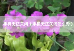 手机无法关闭（手机无法关闭怎么办）