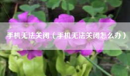 手机无法关闭（手机无法关闭怎么办）