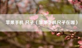 苹果手机 尺子（苹果手机尺子在哪）