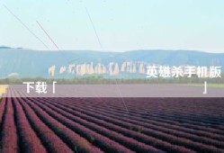 ��ѶӢ��ɱ����英雄杀手机版下载「��ѶӢ��ɱ����」