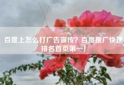 百度上怎么打广告宣传？百度推广快速排名首页第一！