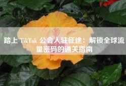 踏上 TikTok 公会入驻征途：解锁全球流量密码的通关指南