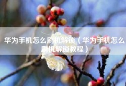 华为手机怎么刷机解锁（华为手机怎么刷机解锁教程）