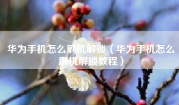 华为手机怎么刷机解锁（华为手机怎么刷机解锁教程）