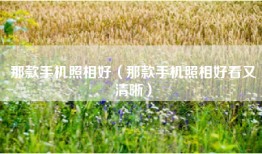 那款手机照相好（那款手机照相好看又清晰）