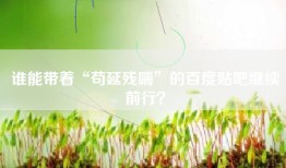谁能带着“苟延残喘”的百度贴吧继续前行？