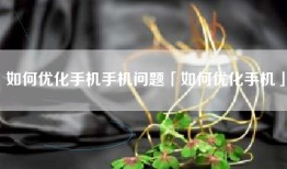 如何优化手机手机问题「如何优化手机」