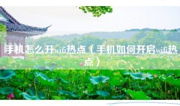 手机怎么开wifi热点（手机如何开启wifi热点）