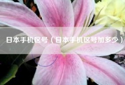 日本手机区号（日本手机区号加多少）