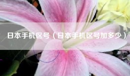 日本手机区号（日本手机区号加多少）