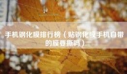 手机钢化膜排行榜（贴钢化膜手机自带的膜要撕吗）