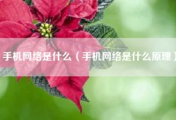 手机网络是什么（手机网络是什么原理）