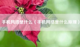 手机网络是什么（手机网络是什么原理）
