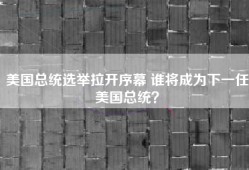 美国总统选举拉开序幕 谁将成为下一任美国总统？