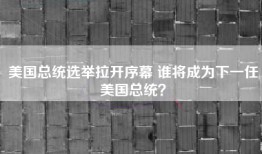 美国总统选举拉开序幕 谁将成为下一任美国总统？