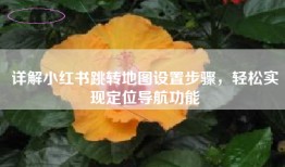 详解小红书跳转地图设置步骤，轻松实现定位导航功能