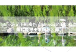 iphone忘记手机密码（iphone忘记手机密码照片能导出来吗怎么弄）