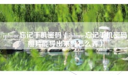 iphone忘记手机密码（iphone忘记手机密码照片能导出来吗怎么弄）