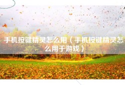 手机按键精灵怎么用（手机按键精灵怎么用于游戏）