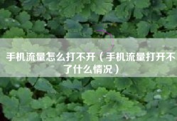 手机流量怎么打不开（手机流量打开不了什么情况）