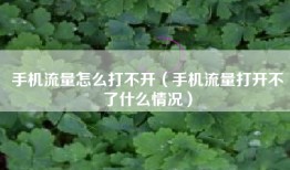 手机流量怎么打不开（手机流量打开不了什么情况）