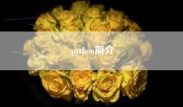python简介