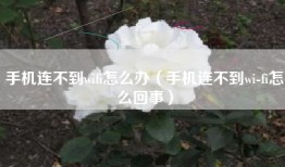手机连不到wifi怎么办（手机连不到wi-fi怎么回事）