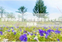 贺岁档的逆袭：2024年票房首破十亿背后的故事