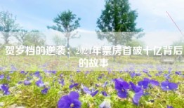 贺岁档的逆袭：2024年票房首破十亿背后的故事