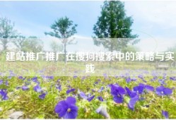 建站推广推广在搜狗搜索中的策略与实践