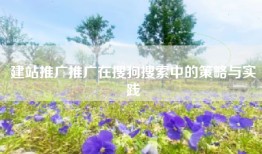 建站推广推广在搜狗搜索中的策略与实践