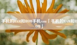 手机的RAM和ROM手机ram「手机的RAM和ROM」