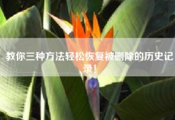 教你三种方法轻松恢复被删除的历史记录！