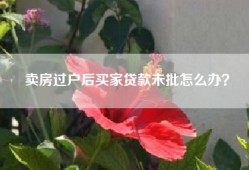 卖房过户后买家贷款未批怎么办？