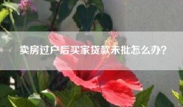 卖房过户后买家贷款未批怎么办？