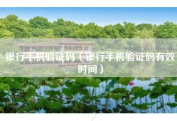 银行手机验证码（银行手机验证码有效时间）